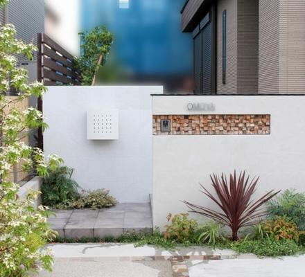 IMG_6326-1 IMG_6326-1