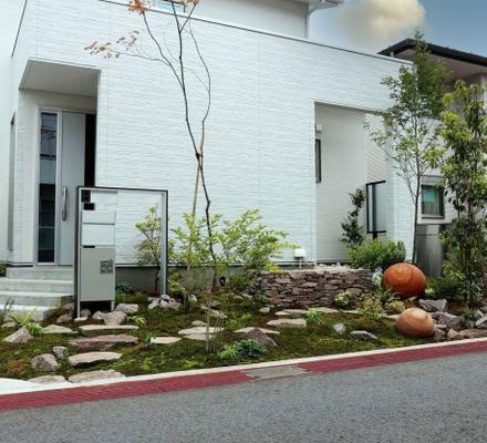 苔 シダ 苔 シダ