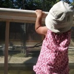 ClipboardImage ClipboardImage