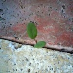 ClipboardImage ClipboardImage