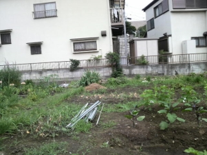 ClipboardImage ClipboardImage