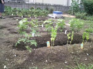 ClipboardImage ClipboardImage