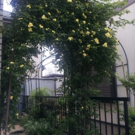 ClipboardImage ClipboardImage