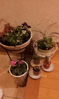 ClipboardImage ClipboardImage