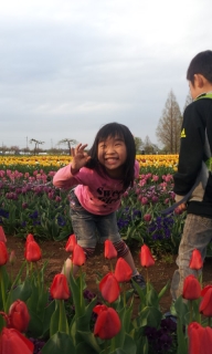 ClipboardImage ClipboardImage