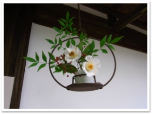 sRIMG0442
