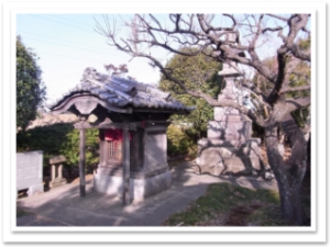 RIMG0224