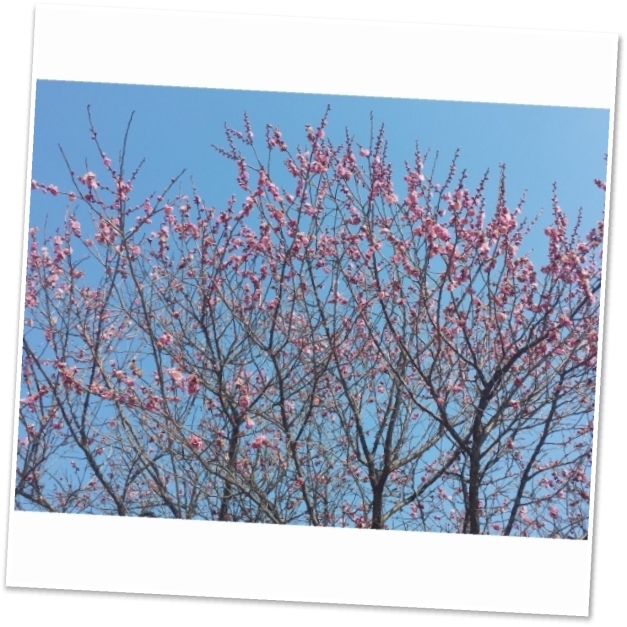 20140225_121652