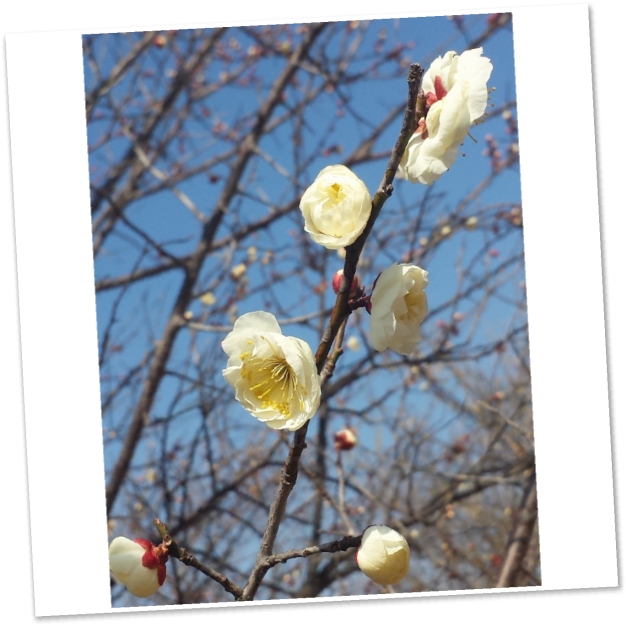 20140225_121652