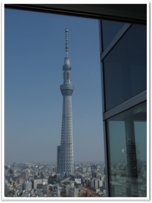 IMG_1125 IMG_1125