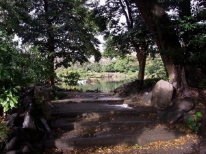 sե졼