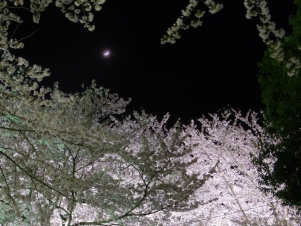 sRIMG0549