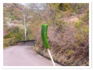 奦