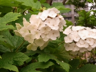 sХ0612