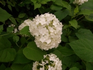 sʥ٥룱0612