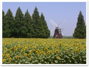 sRIMG0724
