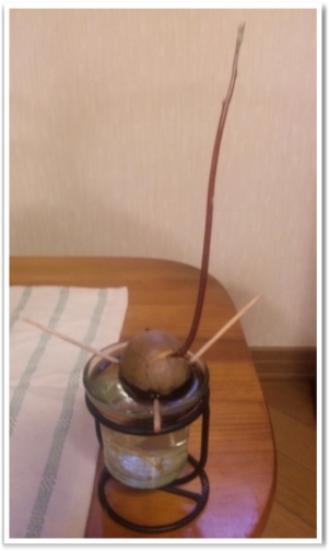 SH3H00040001
