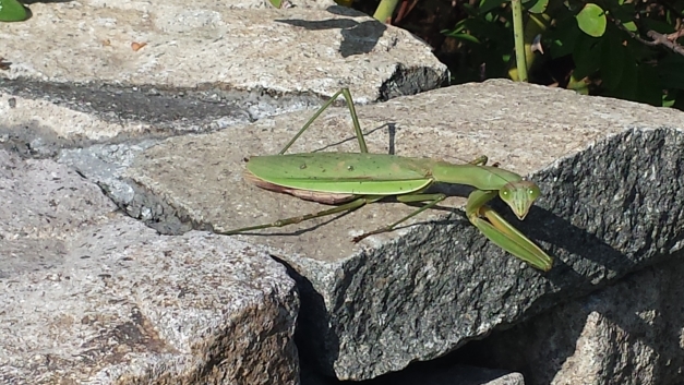 20141024_091445