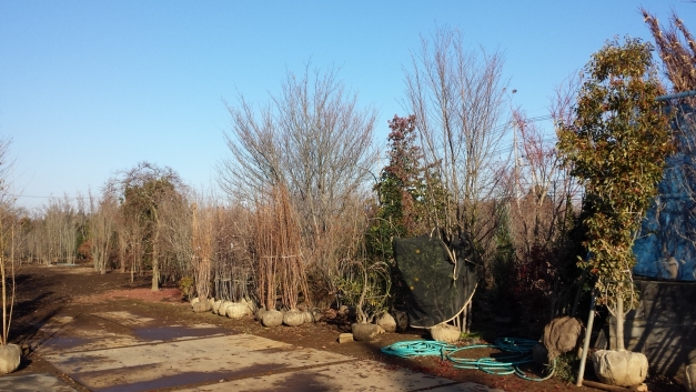 20141213_090944