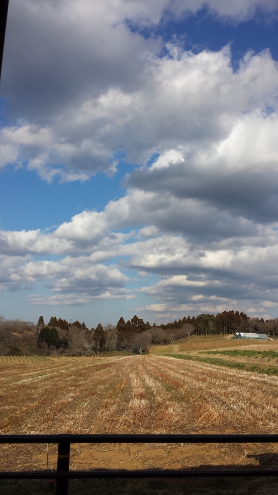 20150111_134734 20150111_134734
