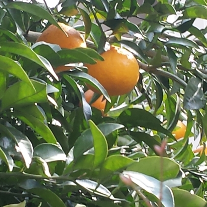 20140318_090915