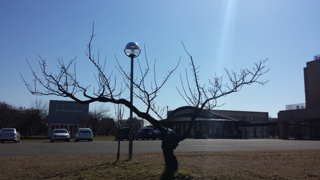 20150203_122154