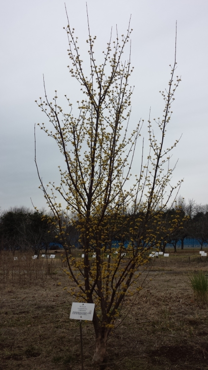 20150303_120447