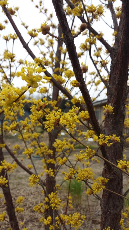 20150303_120524