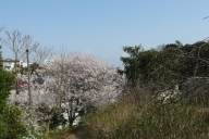 20150322_063