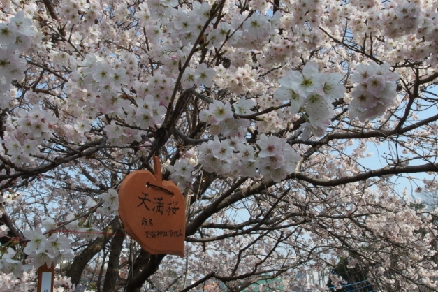 20150322_047
