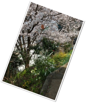20150322_057