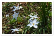 20150322_064
