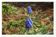 20150322_071