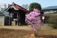 20150322_067