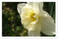 20150322_042