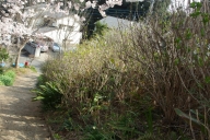 20150322_056