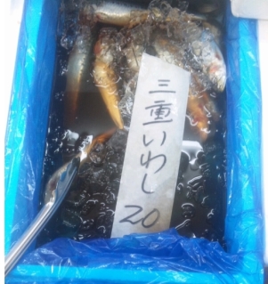 SH3H09480001
