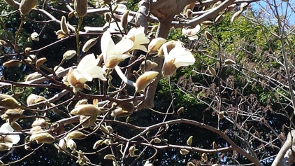 20150324_115839