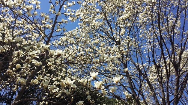 20150324_120108