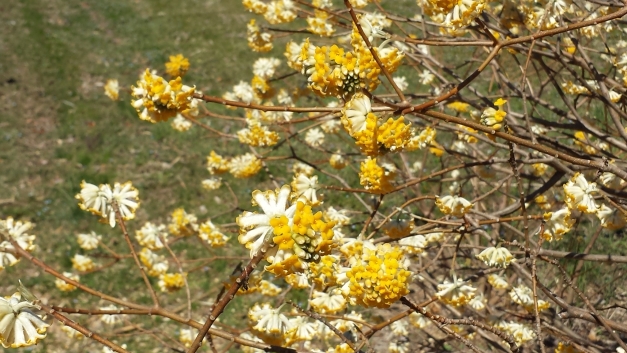 20150324_120041