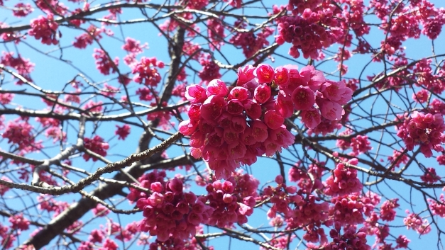 20150324_115956