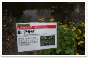 20150405_153053_014