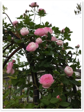 20150507_101309