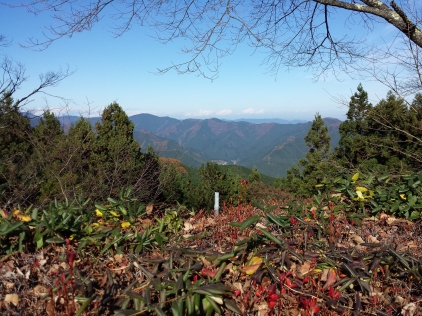 20151124_123933