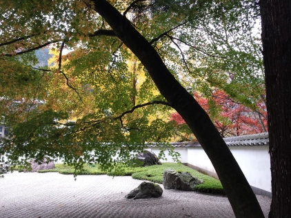 20151123_124217