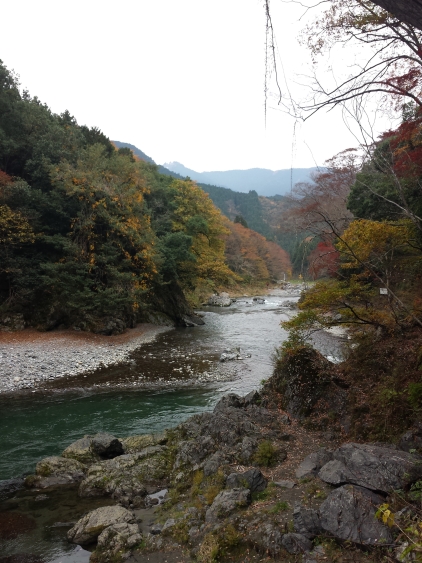 20151123_132907