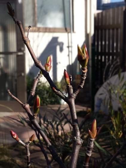 20160125_142940