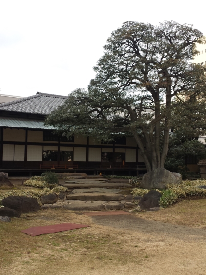 20160131_140904