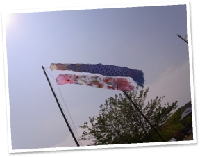 20160501_100424021_