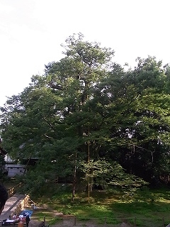 s-20160702_161446026_